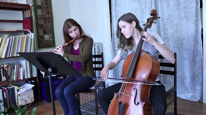About Baroque Flute/Traverso & Handel - Flute Sona...