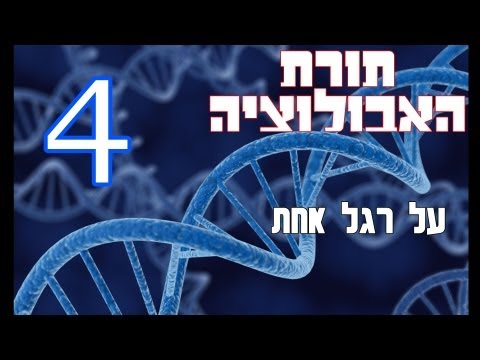 וִידֵאוֹ: מהי דוגמה לאבולוציה?