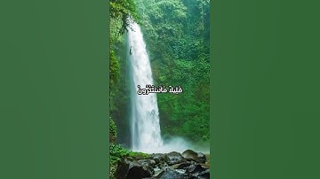 سورة السجدة 🙏🏼❤️ #القرآن_الكريم #quran #islam #سورة_السجدة
