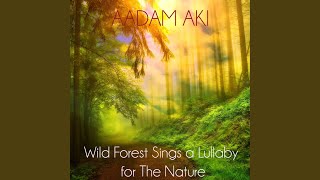 Spring Forest Birds Sing Near the Road
