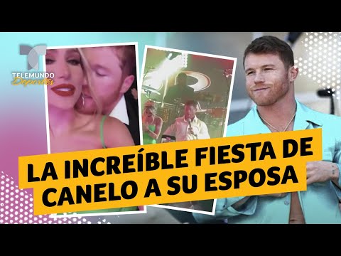 Vidéo: Un Jet Privé Avec Des Fans De Canelo Álvarez S'est écrasé Au Mexique