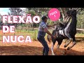 FLEXÃO DE NUCA. SEGUNDO EXERCÍCIO DE RÉDEA DA ÉGUA ABENÇOADA.