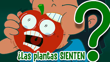 ¿Sienten dolor las frutas?