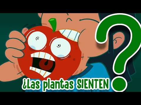 Video: ¿Sienten dolor las plantas?: suposiciones, teorías y hechos científicos