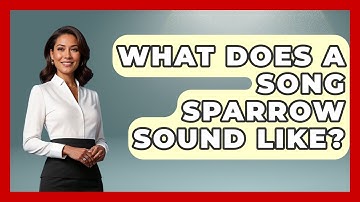 What Does A Song Sparrow Sound Like? - Bird Watching Diaries