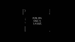 LA AUDIENCIA #campaign  #wargaming #viking #valhalla #miniature