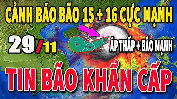 Bão Số 15 và 16 Đe Dọa Trực Tiếp Miền Trung - Cảnh Báo Khẩn Cấp!