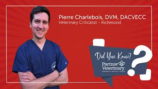 Episode 8 - How We Care for Our Most Critical Patients with Dr. Pierre Charlebois