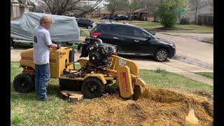 Stump Grinding In Mesquite Tx 75150