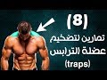 8 تمارين لابراز و تضخيم عضلة الترابيس| تمارين الترابس|  traps workout|