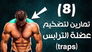 8 تمارين لابراز و تضخيم عضلة الترابيس| تمارين الترابس|  traps workout|