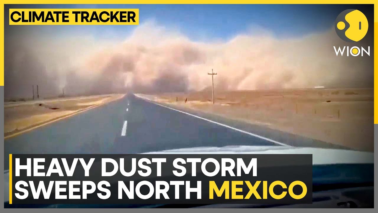 Dust Storms And Strong Winds Rage Across New Mexico | WION Climate ...