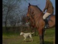 Capture de la vidéo Fox Hunting