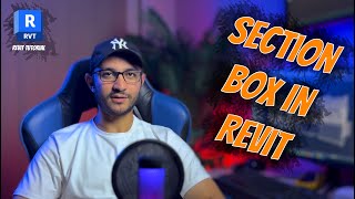 Celebrity Revit Tips & Tricks: Section Box Wealth