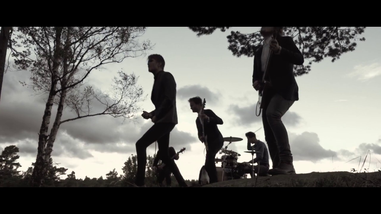 Timewaves - Fake Highs, True Lows (OFFICIAL VIDEO)