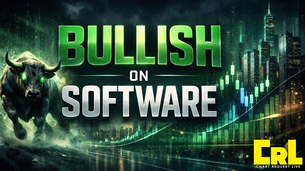 Bull Software Bullish On Software - YouTube