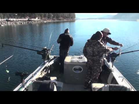 Donner Lake 2/12/11 Donner Lake 2/12/11