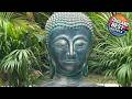 Carpe Diem Residence | Ko Pha-ngan, Thailand | Hotel Review 🏨