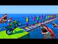 GTA 5 Crazy Ragdolls | Spiderman by Quad Bike On Rainbow Spiders Bridge (Spider Shark Jumps)