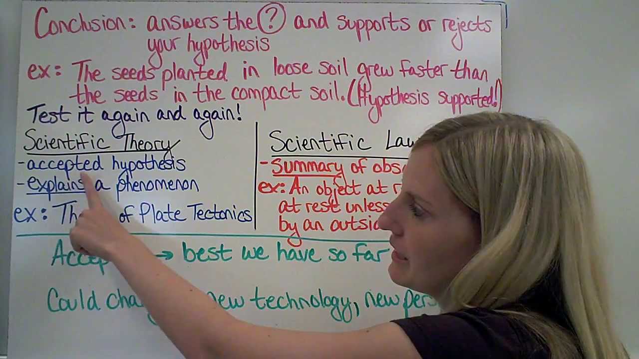 difference between scientific law and scientific theory