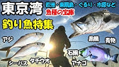 若洲海浜公園ナイトでシーバスを釣る 胃袋からまさかの 釣れ蒼海 Tv 東京湾奥陸っぱりシーバスガイド Youtube