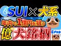 【SUI系ミームコイン】「FUD」スイ関連の期待度No.1犬コイン！SHIB,DOGE,BONKに続く億り人銘柄の仕込み方徹底解説！【仮想通貨】