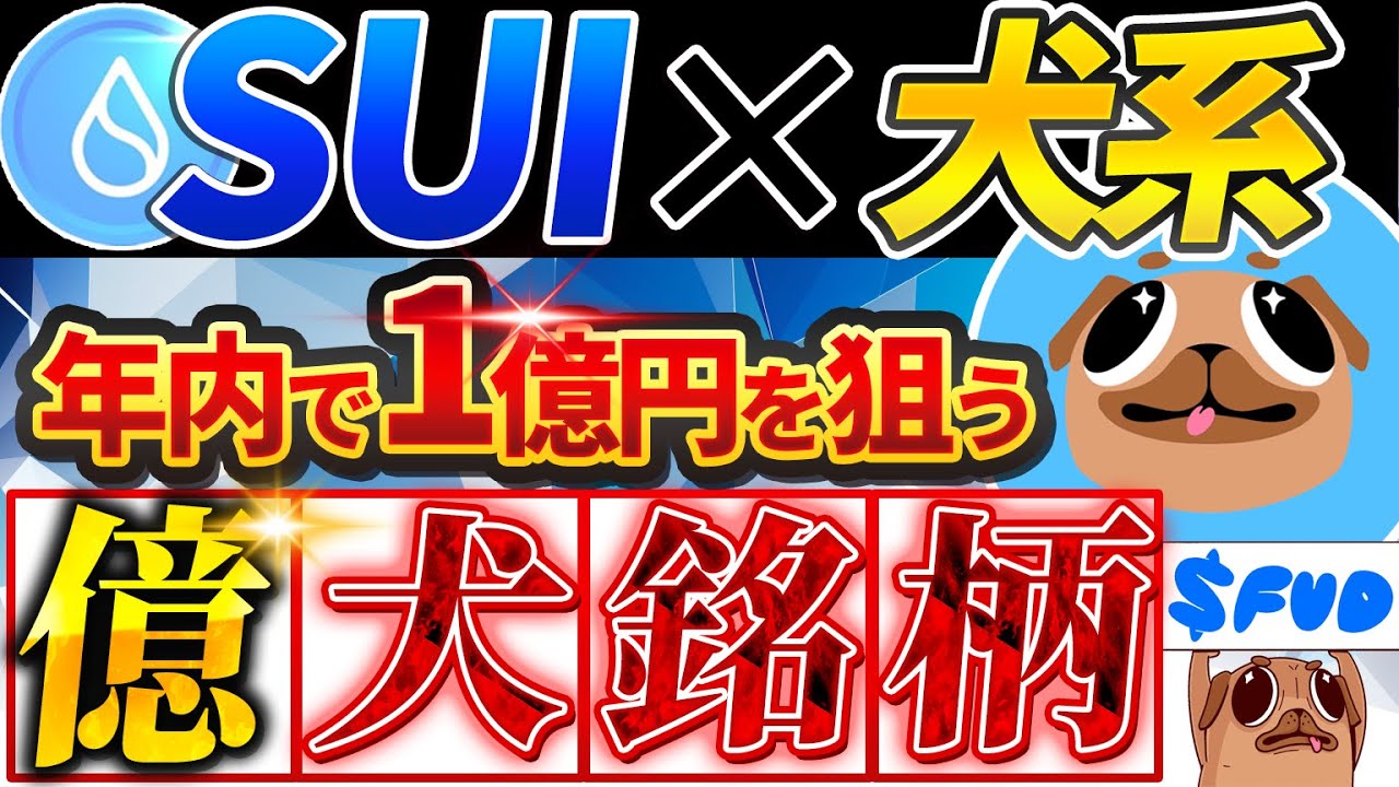 SUI系ミームコイン】「FUD」スイ関連の期待度No.1犬コイン！SHIB,DOGE,BONKに続く億り人銘柄の仕込み方徹底解説！【仮想通貨】 -  YouTube