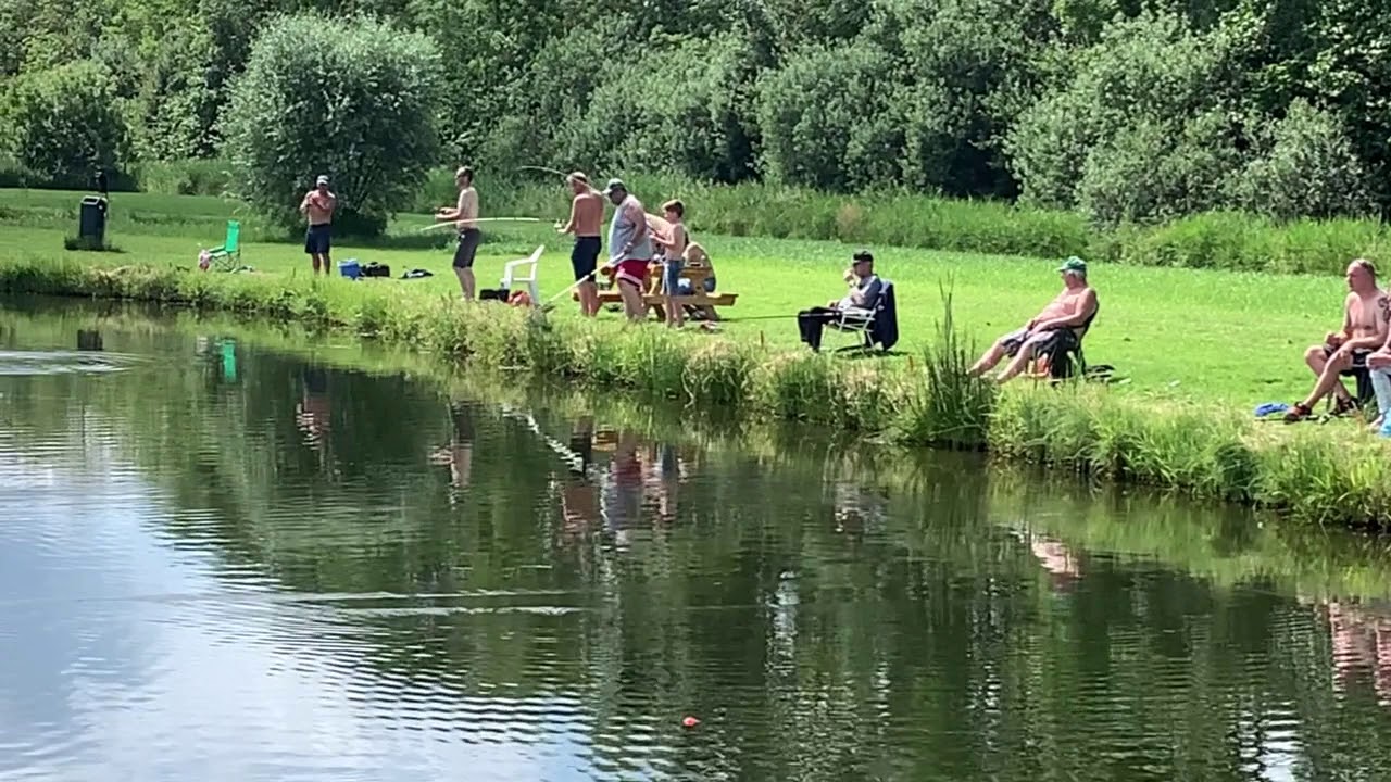 Forel vis middag bij de Forellenvijver H2O - YouTube