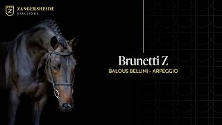 Brunetti Z-Zangersheide Hengstenpresentatie 2026 ( NL )
