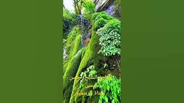 (يا أيها الناس اتقوا ربكم واخشوا يوما لا يجزي والد عن ولده) #سورة_لقمان #تلاوة_رائعة