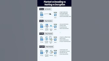 Plantext vs Encoding vs Hashing vs Encryption #cybercecurity
