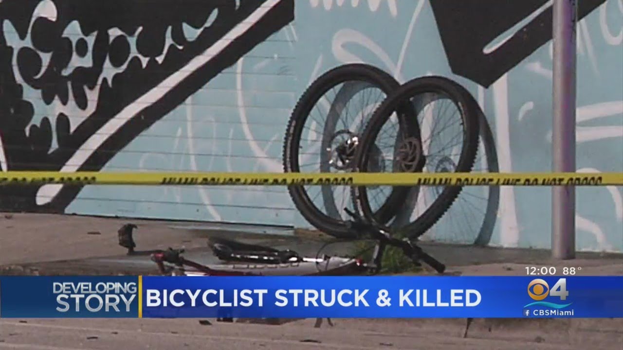 Suspected Driver In Deadly Miami Hit And Run In Custody - YouTube