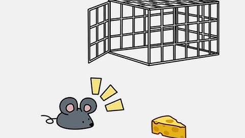 brain out 2 level 6 Put mouse in a cage!