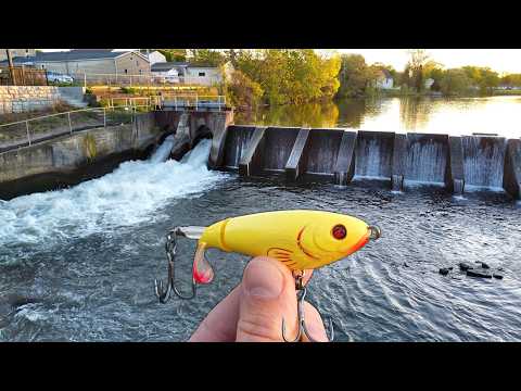 blanchard fishing lure Algonquin Long John  Van Dutch LBI Fishing Report 5/18/21 -
