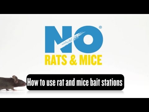 Video - How to Use the NO Rats and NO Mice Bait Stations