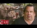 Ed's Pig Farm Struggles | 90 Day Fiancé: Before The 90 Days