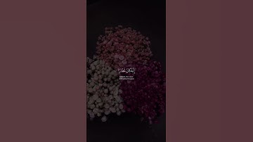 آيات من القرآن الكريم تريح القلب
