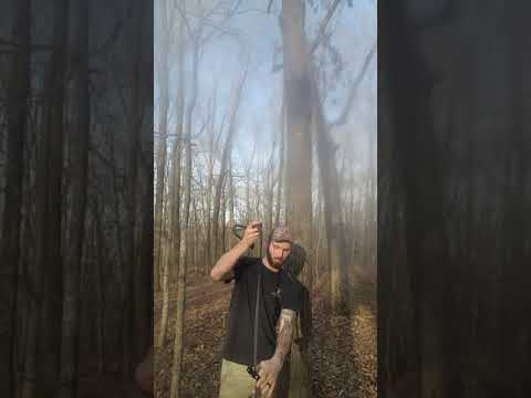 How To Turn Primal Steps Into Wild Edge Steps