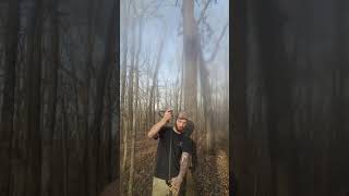 How To Turn Primal Steps Into Wild Edge Steps