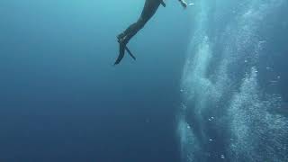 DJI 20260615102952 0214 D