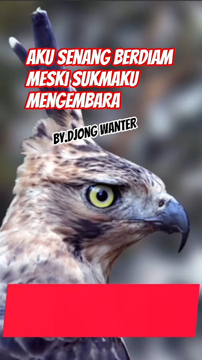 aku senang berdiam diri ‼️meski sukmaku mengembara #storywa #puisi #quotes