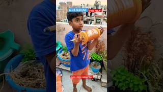 c-28 Maidani Manjha 6 Reel Best Manjha Kite Fighting 🔥#kitelover #kitefighting #kitefestival 🔥😱😱😁