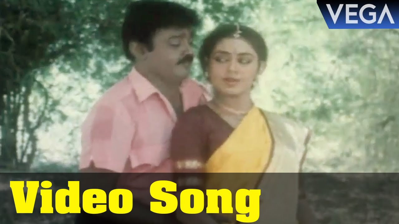 Engitte Mothathey Tamil Movie  Sariyo Sariyo Naan Kadhalithadhu Video Song