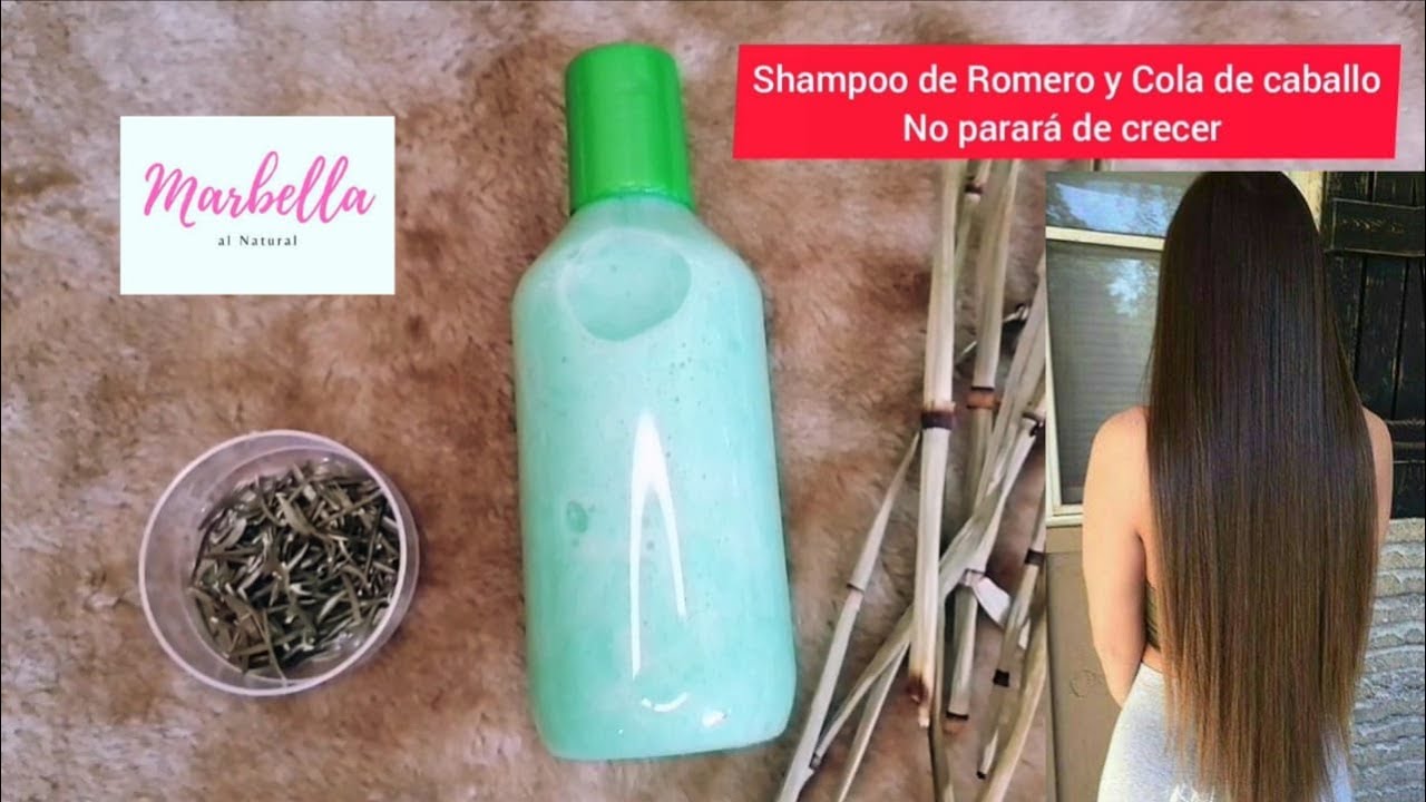 Haz tu propio Shampoo de Romero y Cola de caballo, Orgánico, desde Cero