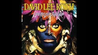 DAVID LEE ROTH - SONRISA SALVAJE, FULL ALBUM