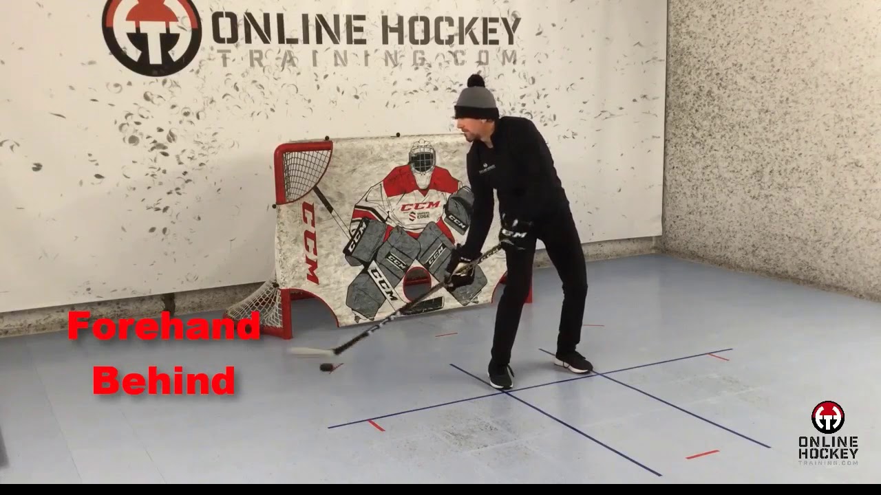 online hockey training