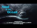 Soul of the ocean trailer