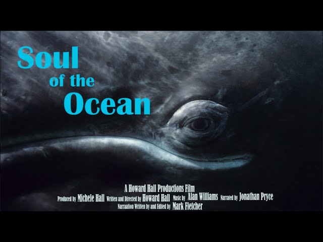 sea – Movies of the Soul