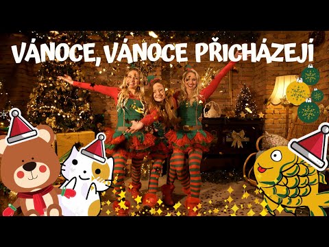 Video: Proč noel o Vánocích?