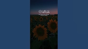 تلاوة مريحة 🤍🤍.                 #قرآن #اكسبلور #قران_كريم #راحة_نفسية #quran #subscribe
